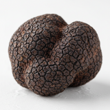 Fresh Burgundy black truffle on a light background