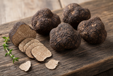 Fresh Burgundy Truffle